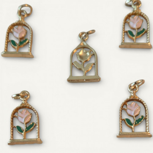 IMG_20260207_015143 (1) (8).jpg